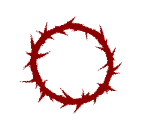 Bianchi Clothing Giveaway Official Rules